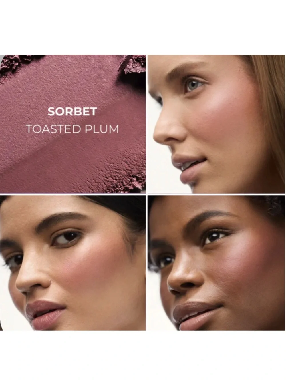 NEW✅LM Sorbet
